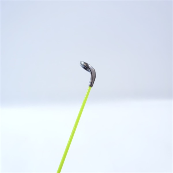 ２１アオリスタ５００